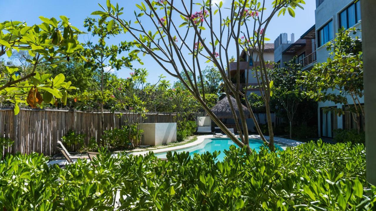 Macondo Tulum Ngoại thất bức ảnh